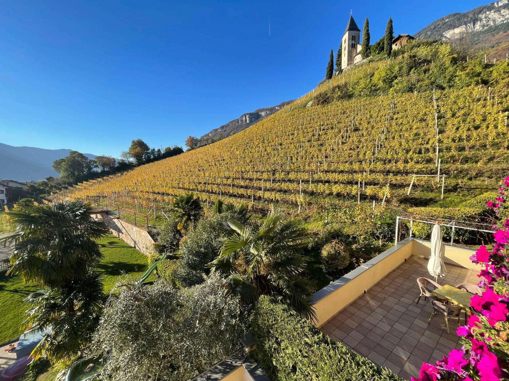 Ferienhof Franzelin Tramin an der Weinstraße Buitenkant foto